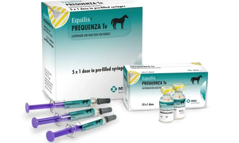 Equine Vaccinations | GEM Equine Ltd